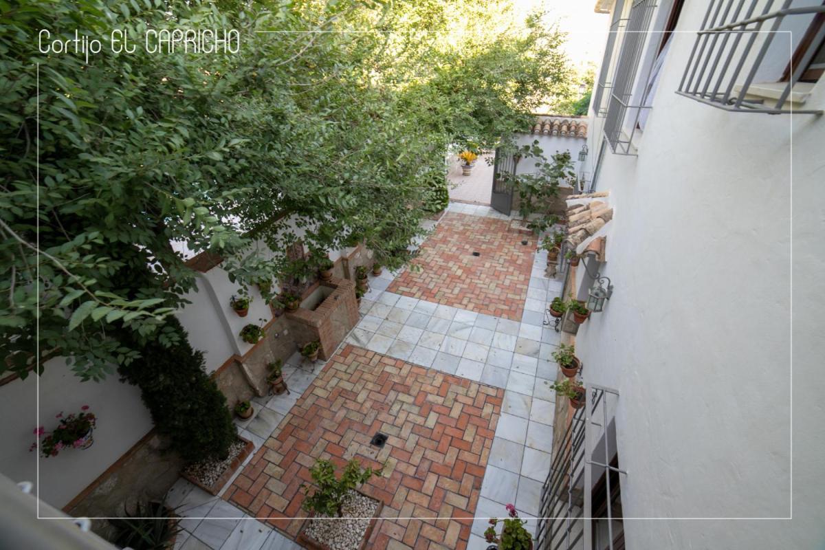 Вилла Cortijo El Segador Y El Capricho Альмединилья Экстерьер фото